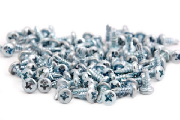 Carrera Evolution Schrauben klein (Achsfixierung) 89010